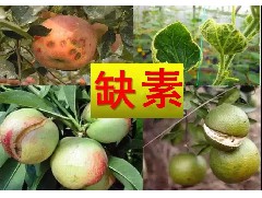 出人意料含腐植酸水溶肥料，作用效果這么強(qiáng)！你還不用么